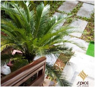 Spice Holidays Hotel Kochi Eksteriør billede